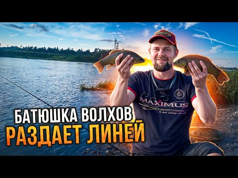 Видео: Предполагал, что он водится в реке, но не думал, что поймаю. Рыбалка на Волхове