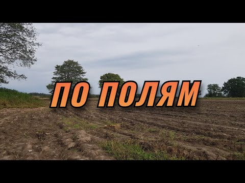 Видео: Разведка полей.