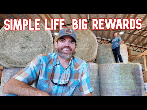 Видео: День, когда на ферме всё изменилось!