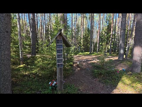 Видео: Урочище Сандармох, Карелия. Место массовых расстрелов в 1937-1938