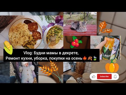 Видео: Vlog: Будни мамы в декрете, ремонт кухни, уборка, покупки на осень🍁🍂🍃