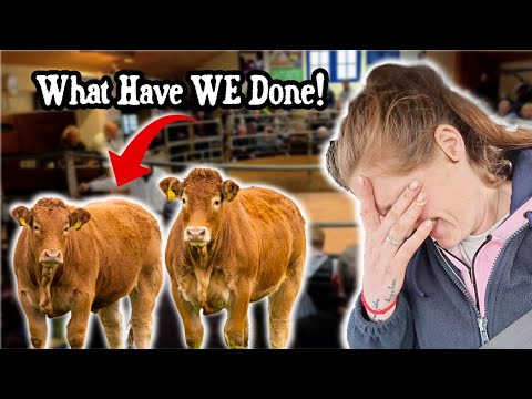 Видео: Пошёл только ради "посмотреть"... Шопинг в витринах не удался!! @BenthamAuction