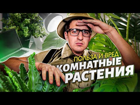 Видео: Никто не говорил этого про комнатные растения [Спроси Ученого]