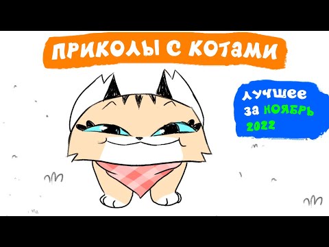 Видео: Приколы с котами. ЛУЧШЕЕ ЗА НОЯБРЬ 2022 | Мемозг