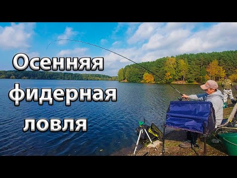 Видео: Осенняя фидерная ловля на водохранилище.