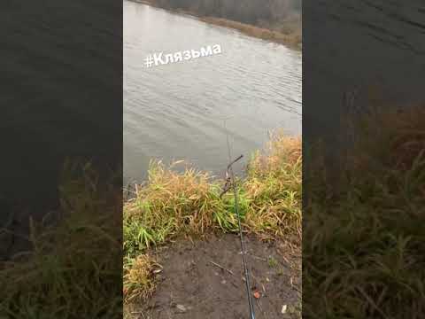 Видео: Рыбалка в ноябре на Реке Клязьма. Много травы несёт, кормушки 140 грамм.