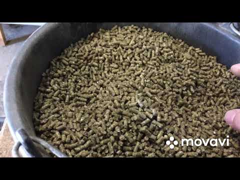 Видео: ПЕРЕШЁЛ НА КОМБИКОРМ