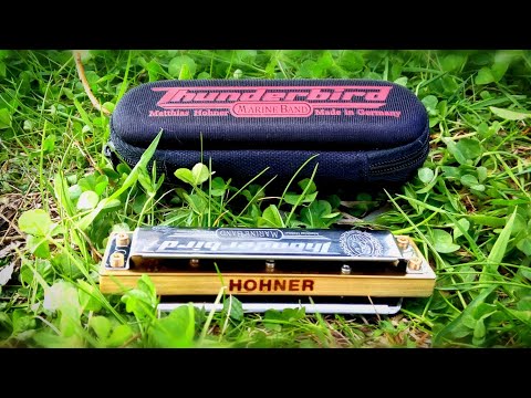 Видео: Губная гармошка Hohner "Thunderbird"обзор.