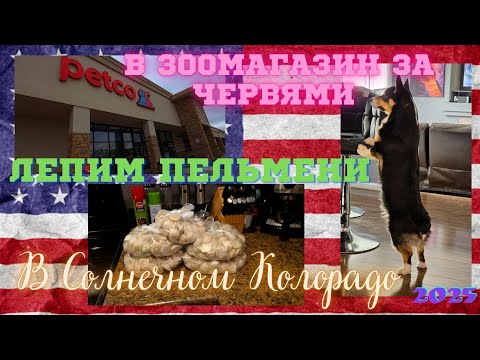 Видео: #194 Быстрая Закупка/ Зоомагазин/ Лепим Пельмени/ Закат В Колорадо/ Влог США/ МЫ В АМЕРИКЕ