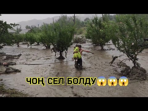 Видео: НООКАТТА ЧОҢ СЕЛ ҮЙЛӨРДҮ БАСТЫ.