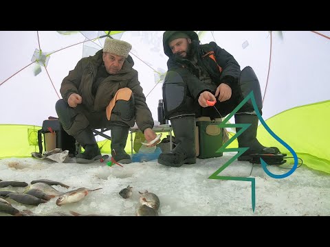 Видео: С батей на Рузе: плотва, окунь и мини лещ. Уловистая снасть выручает. Поклевки крупным планом.