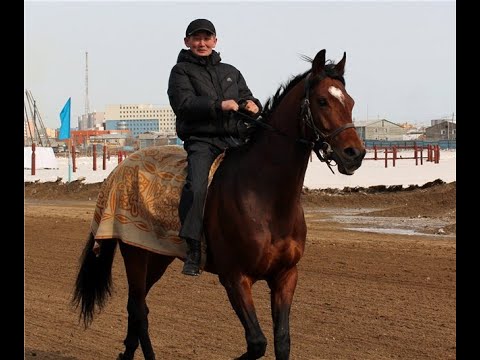 Видео: Семен Лиханов. Ат сүүрдүүтэ