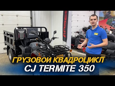 Видео: ОБЗОР грузового квадроцикла CJ Termite 350 от магазина X-MOTORS