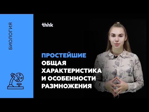 Видео: Простейшие. Общая характеристика и особенности размножения | Биология