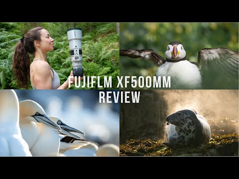 Видео: ОБЗОР Fujifilm XF500mm | Fujifilm X-H2s | Фотография и видеосъёмка