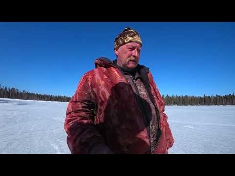 Видео: Прогулка на озеро № 6 (пенсионное). Рыбаки на озере. Сударке два месяца. 21.04.22 г.