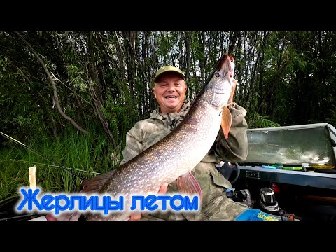Видео: ПОСТАВИЛ ЖЕРЛИЦЫ И НЕ ПРОГОДАЛ!!! 