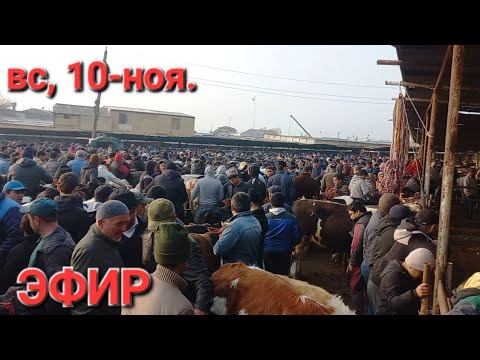 Видео: ХУДЖАНД 10 НОЯБР МОЛБОЗОРИ ХУЧАНД в прямом эфире!