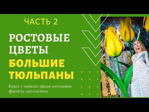 Видео: Гигантский Тюльпан Ростовые Цветы большой тюльпан мастер класс, часть 2