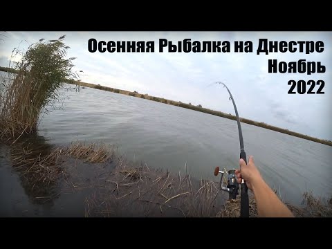 Видео: Осенняя рыбалка на Днестре, начинает проклёвывать тарань.