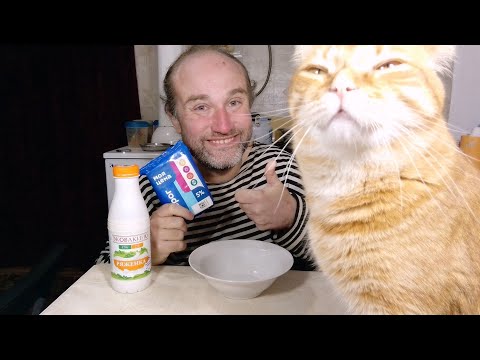 Видео: На ужин с Рыжулей творог с ряженкой и корм вкусно. Мукбанг. Обжор. Еда на камеру. Диета. Шизофрения.