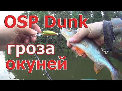 Видео: OSP Dunk 48 - гроза окуней! Где и на что ловить окуня на пруду. Лучшие воблеры на окуня.