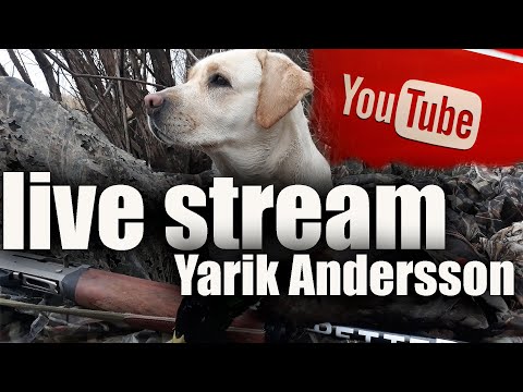 Видео: ПОГОВОРИМ ПРО ПВХ ЛОДКИ КАКИЕ ЛУЧШИЕ И ЛОДОЧНЫЕ МОТОРЫ 🔴ОХОТРАДИО