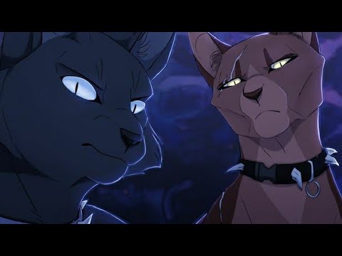 Видео: Коты Воители | Клип | ♧