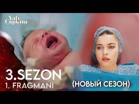 Видео: Зимородок 76 серия, 3 сезон русский дубляж! (Детка, хорошие новости!)