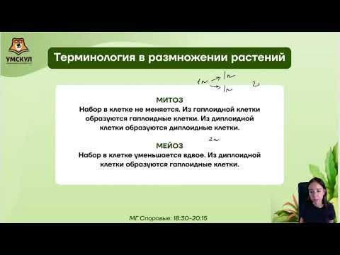Видео: Всё про споровых — Биология 2