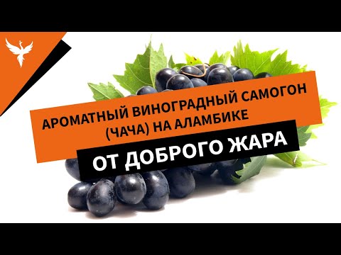 Видео: Ароматный виноградный самогон (чача) на аламбике от Доброго Жара. Абсолют ВИП без колонны в работе