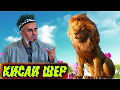 Видео: АЧОИБ КИСАИ ТАЬСИРБАХШ ШЕР! ДОМУЛЛО АБДУРАХИМ НАВ 2021