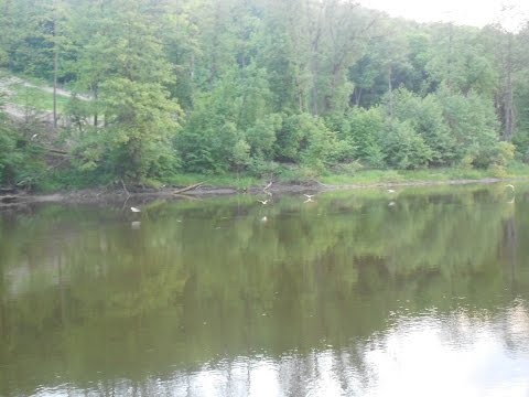 Видео: Колокольный звон - запись из колокольни ...