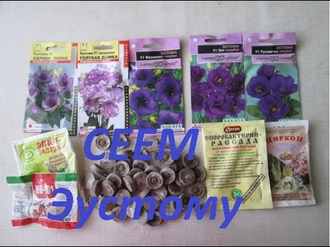 Видео: Консультант Садовода на Усадьбе №1