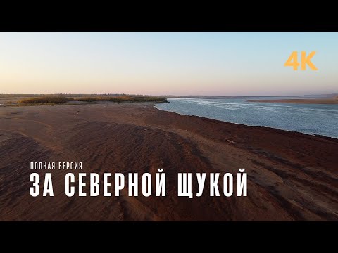 Видео: ЗА СЕВЕРНОЙ ЩУКОЙ! ТУДА, ГДЕ ТРОФЕИ / РЫБАЛКА на СПИННИНГ / Полная версия