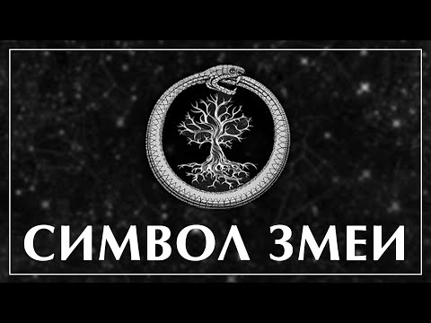 Видео: Символ змеи. Что символизирует змея? Мифология Древней Греции #уроборос #змея #философия