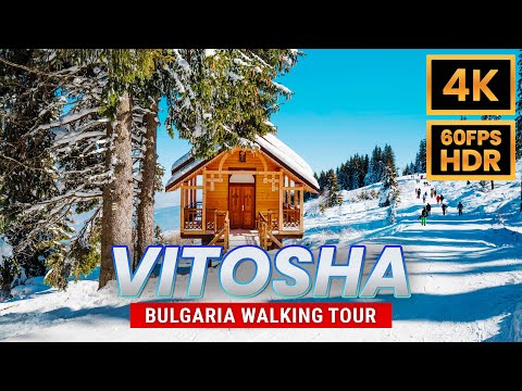 Видео: Пешеходная экскурсия по лыжам Витоша, Алеко, София, Болгария в 4K HDR