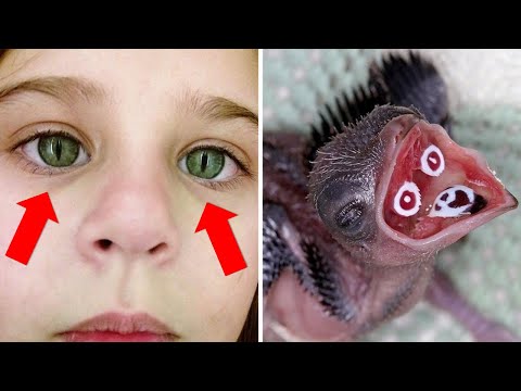 Видео: Фото, которые требуют немедленного объяснения (часть 2)