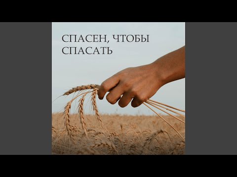 Видео: Где ты, прекрасная