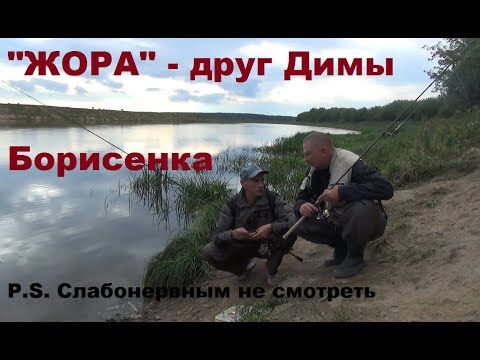 Видео: Такого клева жереха мы не ожидали