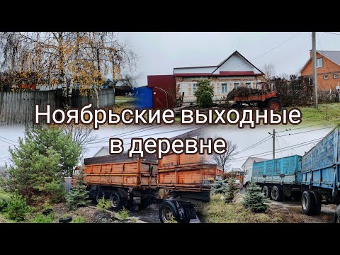 Видео: Ноябрь в деревне 🧡 уют и счастье в деревне, влог, silent vlog