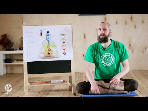 Видео: Как ЛУЧШЕ заниматься ЙОГОЙ. Противопоказания и предостережения. Александр Терентьев