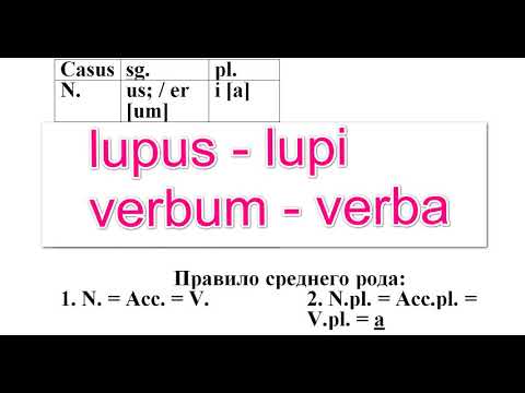 Видео: Второе склонение. Предлоги