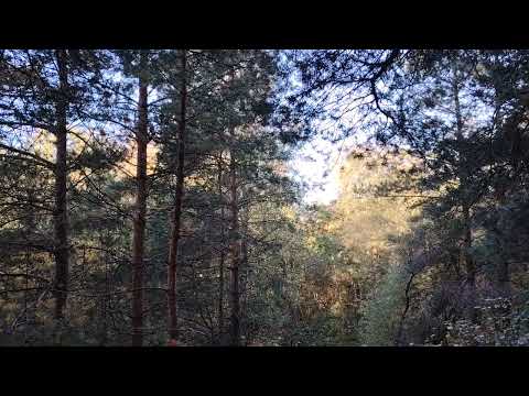 Видео: Инвестирование. Немного о финансовой грамотности