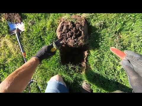 Видео: СРАВНЕНИЕ РЕЗУЛЬТАТОВ КОПАНИЯ В РЕАЛЬНОМ ВРЕМЕНИ!! Manticore против Deus 2 на глубоких целях. Кат...