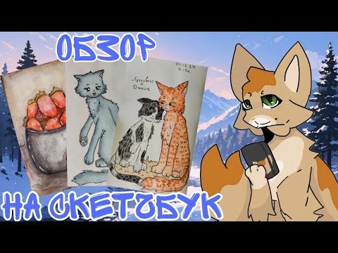 Видео: Обзор на скетчбук🌸. Коты воители)