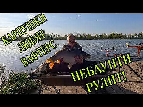 Видео: И СНОВА ЗДРАВСТВУЙ КАРТАР!!! РИБАЛКА НА ФЛЕТ!!!