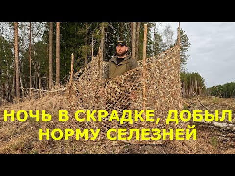 Видео: Охота с подсадной, весна 2024, часть 2