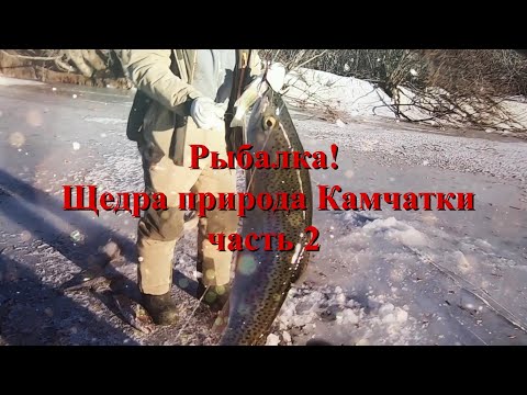 Видео: Рыбалка с ночевкой на Камчатке! часть 2