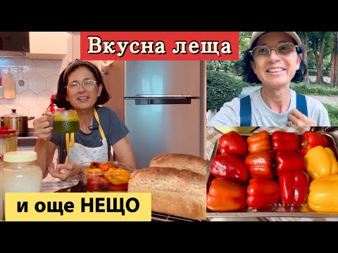 Видео: Българска кухня в далечна Корея - как да си приготвим БЪРЗО, ЛЕСНО и ВКУСНО 😊 Вкусната ЛЕЩА на Нели.